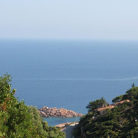 Sardinia Sea Vacation Villa Costa Paradiso Pokoj fotografie